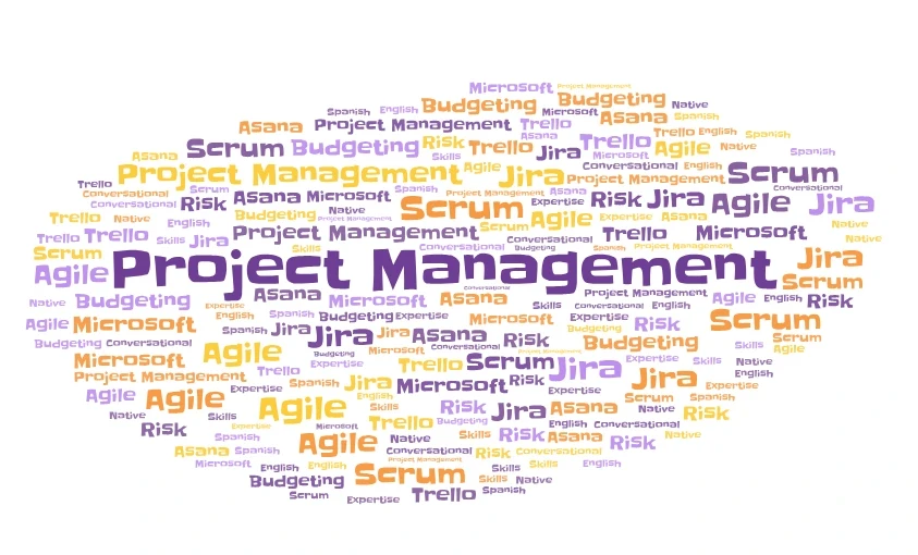 Wordcloud of the best keywords to put in a project manager CV